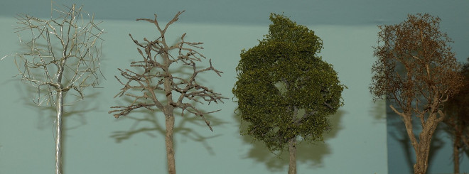 Types d'arbres A.JPG