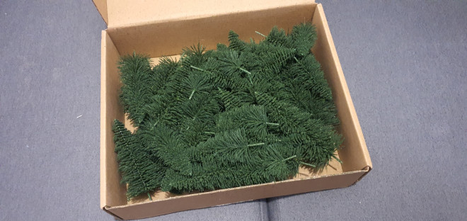 000629_Arbre_La_Tour-03.jpg