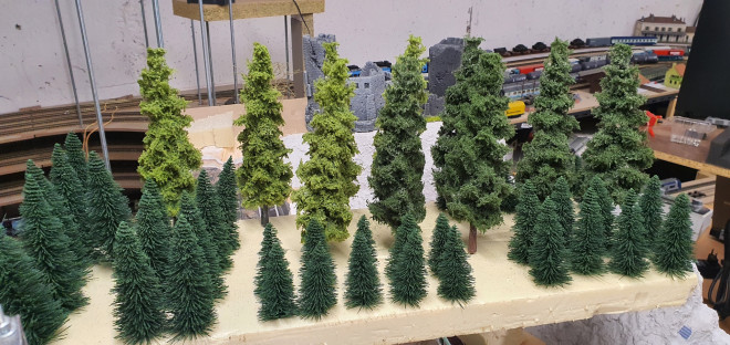 000637_Arbre_La_Tour-10.jpg