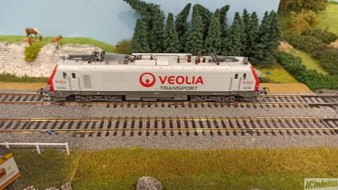 Expo de Boissy sous St Yon