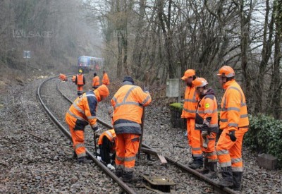 les-agents-de-la-sncf-entre-thann-et-kruth-a-proximite-de-l-arret-thann-saint-jacques-apres-la-chute-d-un-arbre-sur-la-voie-de-chemin-de-fer-suite-aux-fortes-rafales-de-vent-photo-l-alsace-florian-zobenbiehler-1516185443.jpg