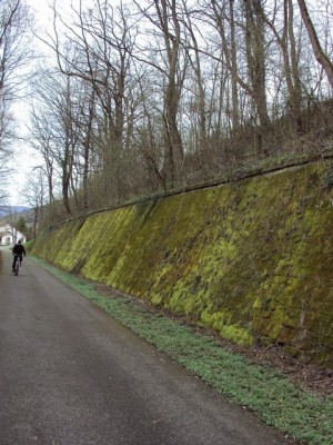 Mur en hiver b.JPG