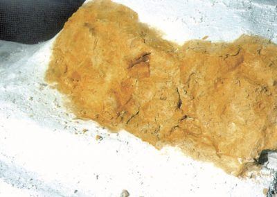 32 - Décoration de la roche en calcaire dur de Bourgogne