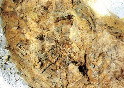 36 - Décoration de la roche en calcaire dur de Bourgogne