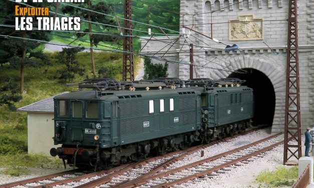 Rail Miniature Flash #676 – Janvier / février 2025